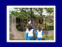 tn_DSCF5009.JPG