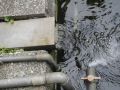 tn_DSC07440.JPG