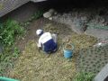 tn_DSC06713.JPG