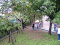tn_DSCF4803.JPG