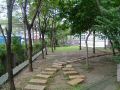 tn_DSCF4810.JPG