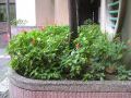 tn_DSCF4835.JPG