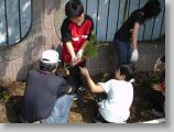 DSC00425.JPG