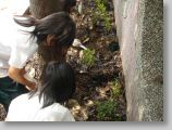 DSC00440.JPG
