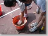 DSC00472.JPG