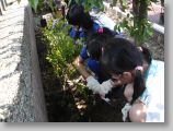 DSC00488.JPG