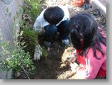 DSC00524.JPG