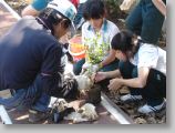 DSC00529.JPG