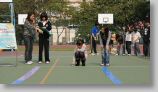 DSC00897.JPG
