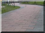 DSC07445.JPG