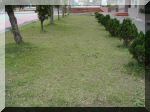 DSC07447.JPG