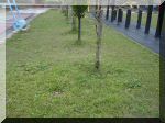 DSC07448.JPG