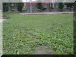 DSC07451.JPG