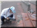 DSC07548.JPG
